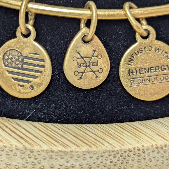 Alex & Ani Gold Tone 2017 Ankh Charm Copper Bracelet - Picture 3 of 5